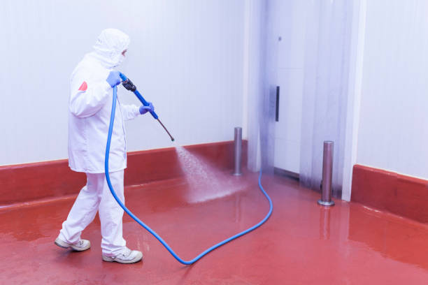 Best Sign and Awning Cleaning  in Four Oaks, NC